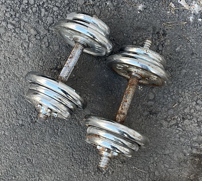 Набор гантелей 20 кг общий вес