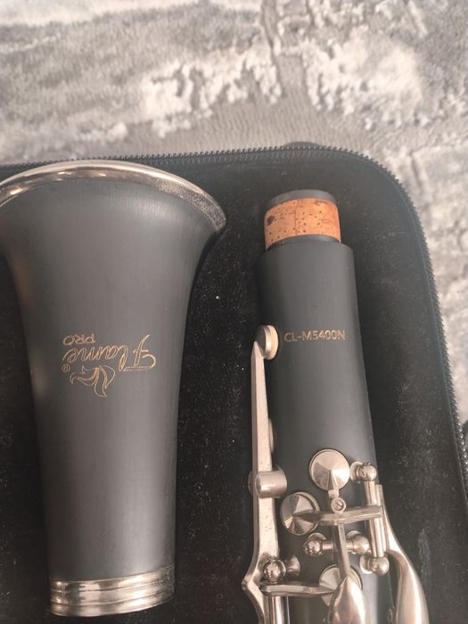 Vand Clarinet Flame Pro CL-M5400N
