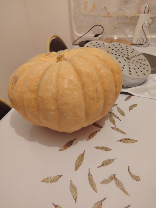 Продам тыкву.  Тыква