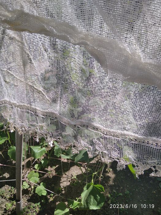 Тюли шторы для дома