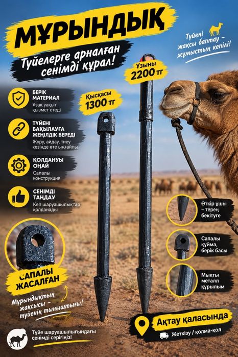 Түйеге мұрындықтар