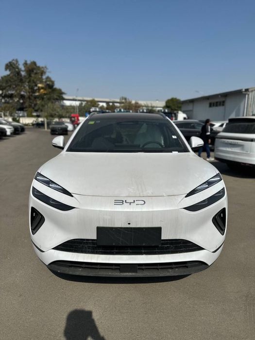 Sea lion 06 eng arzon narxda