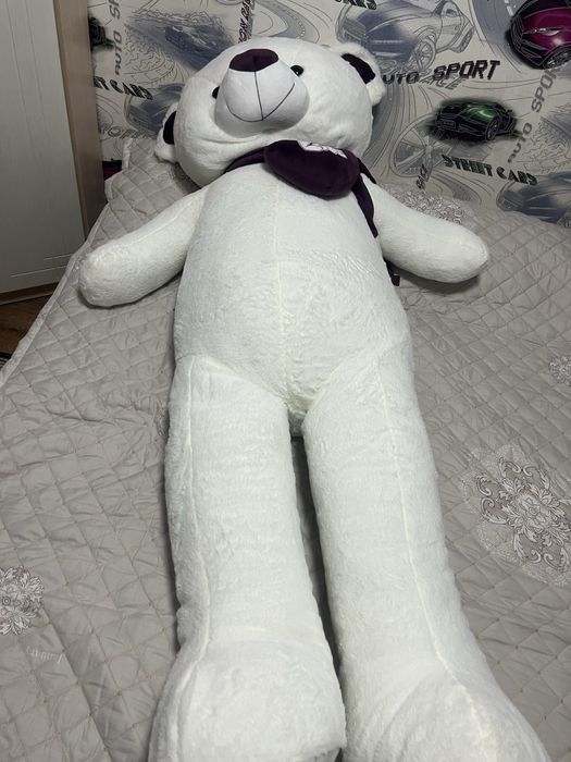 Жұмсақ аю сатылады