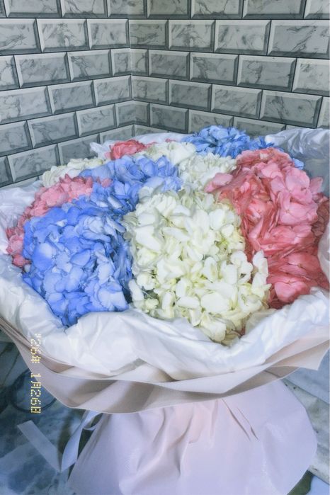 Свежие Гортензии