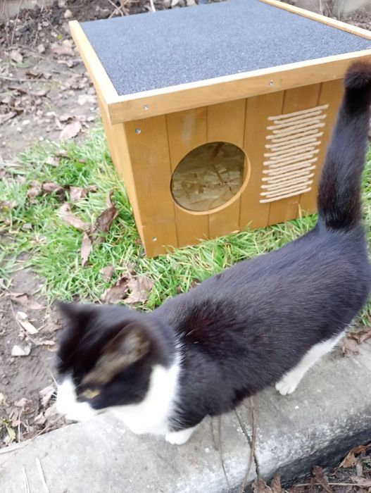 Vând Cușcă pisici nefolosită