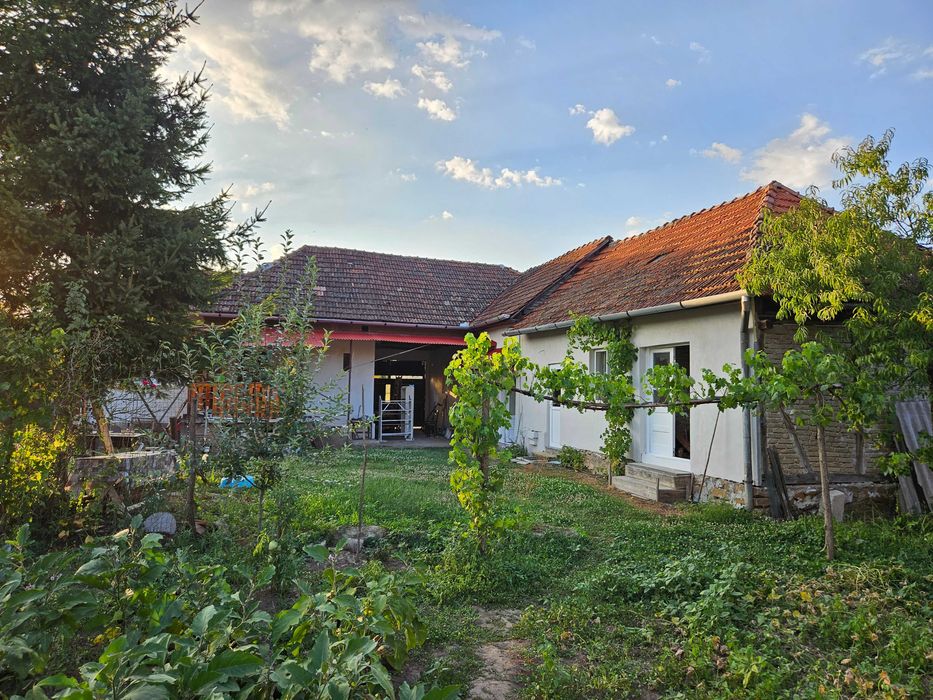 Casa ingrijita,locuibila,,zona linistita, acces  asfalt,gradina, pomi