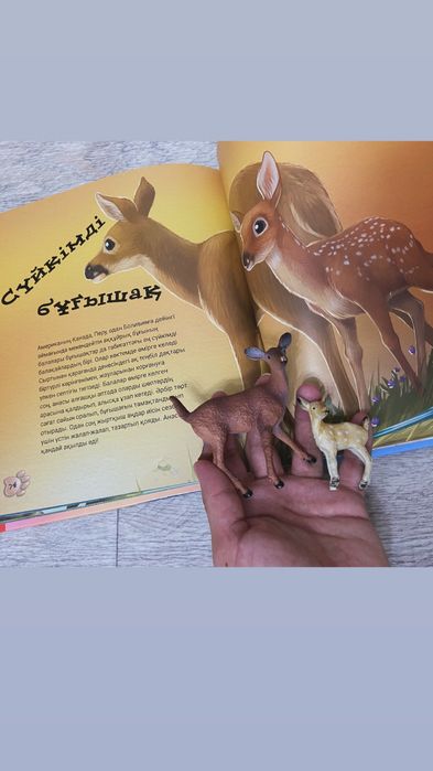 “Сүйкімді төлдер” кітабы. 3500 теңге