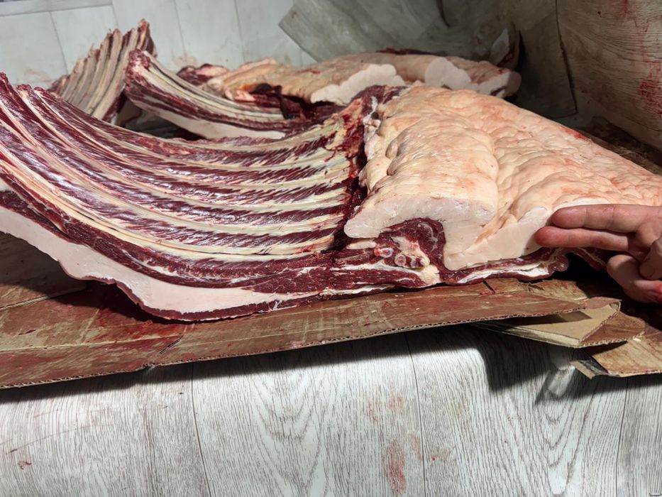 Продаём мясо конины