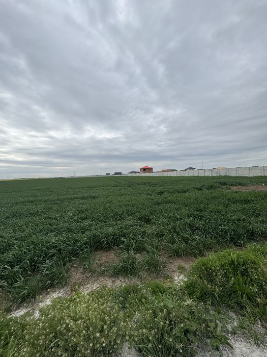 Teren de vanzare Extravilan Berceni-Vidra