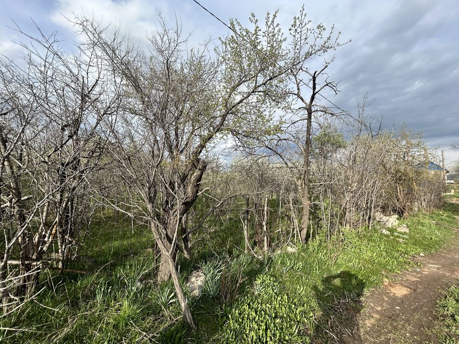 Земельный участок под дачу. Срочно, торг