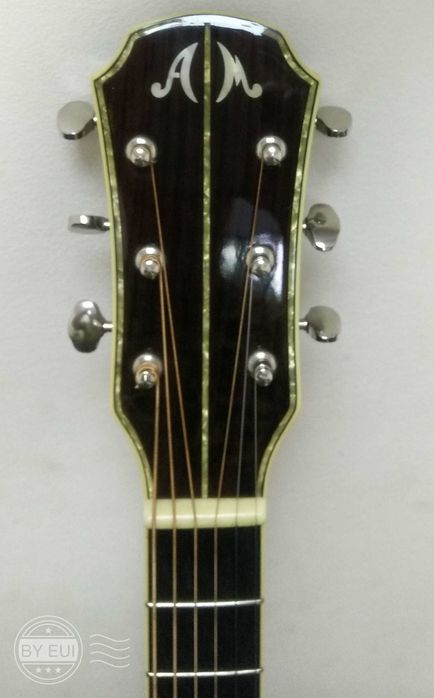 Aria MEISTER-02 Nat Elite из массива