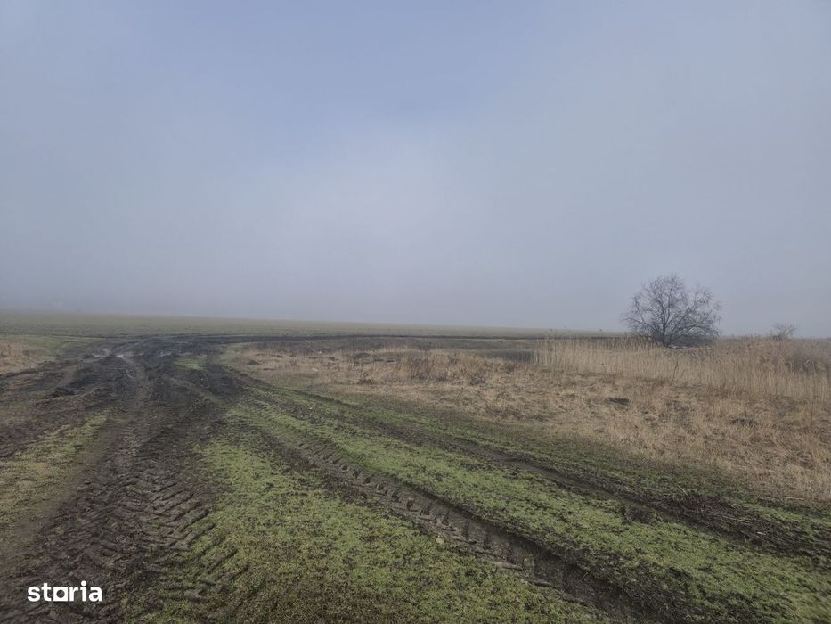 Teren 3.000 mp cu autorizație hală – Holboca, Iași | Rate