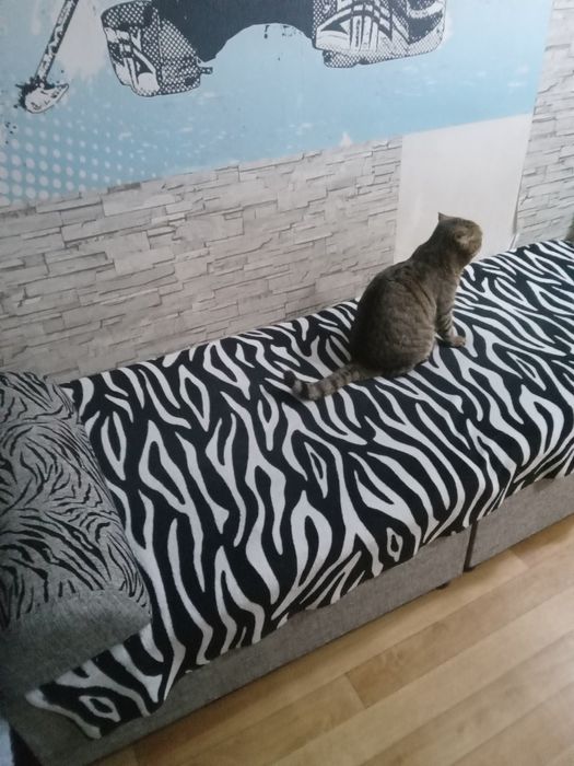 Спальные пуфики 200×0,80