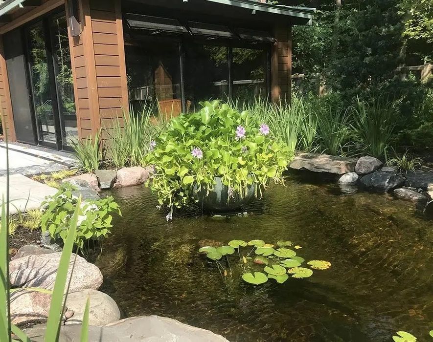 Пруды любой сложности,рыбки,пруды,водопады и фонтаны,скульптуры дизайн