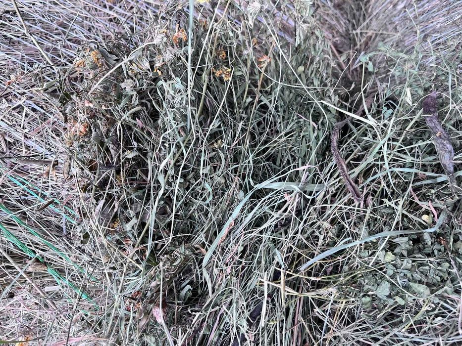 Baloți rotunzi de fân 150x120