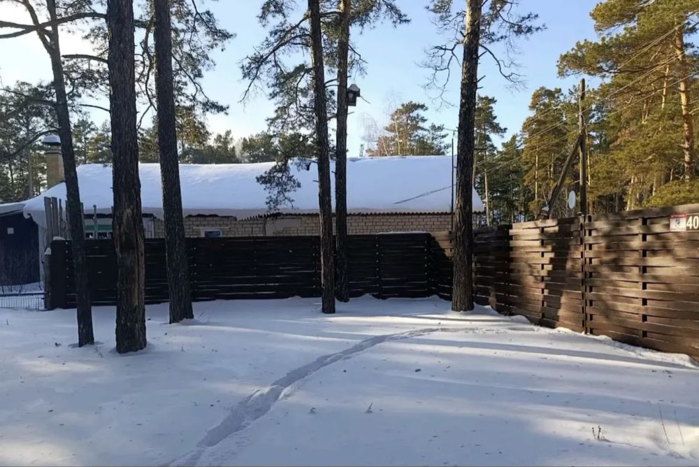 Продам дом в лесу