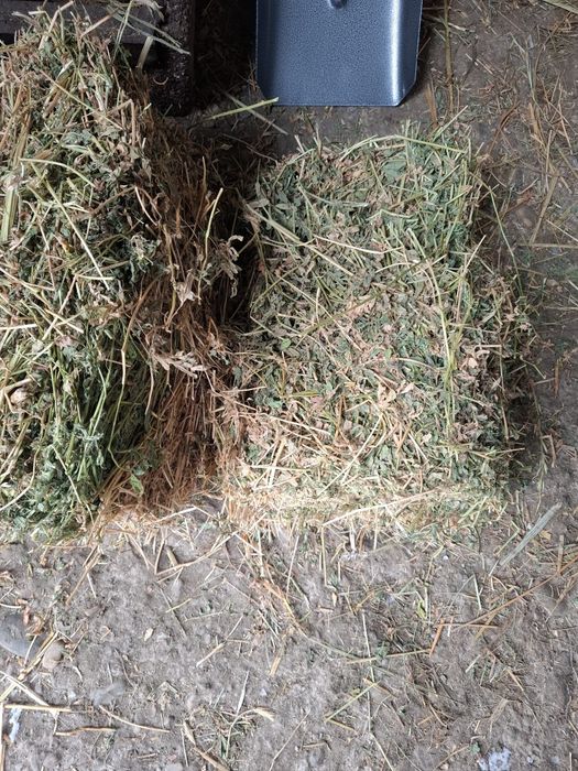 Baloti lucerna dreptunghiulari si rotunzi