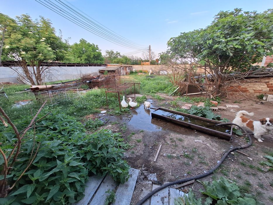 Продава се Парцел в Раковски - 1400 кв.м за 158 €/кв.м - Снимка #11