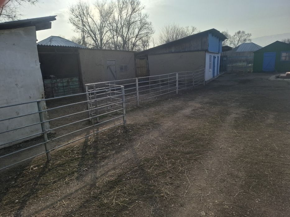 Продам дом . Үй сатылады.