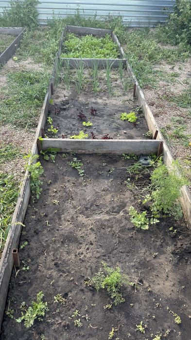 Дача СО Краснопартизанское