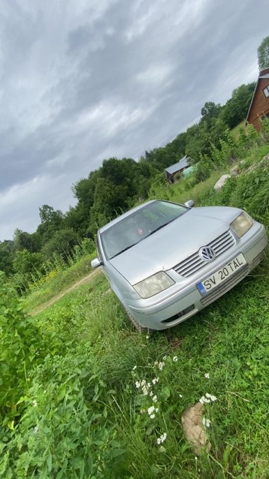 schimb bora cu gip