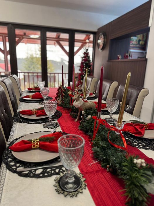 Cazare Ranca langa partia M 1 . Cabana Sky High.