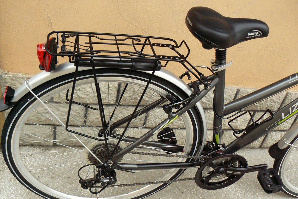 Bicicleta trekking Lizzard 28