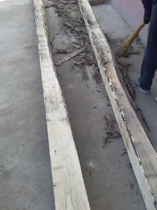 Tosin. BURUS sotiladi srochni