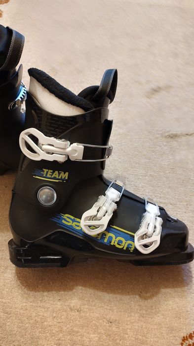 Vand calpari 38 de copii Solomon