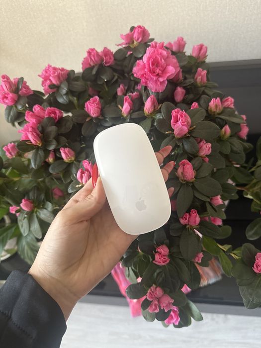 Мышь Apple Magic Mouse