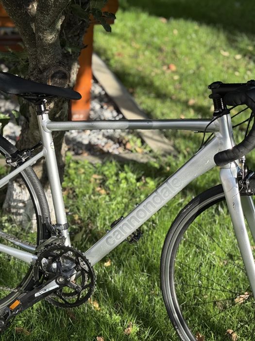 cannondale optimo 28”