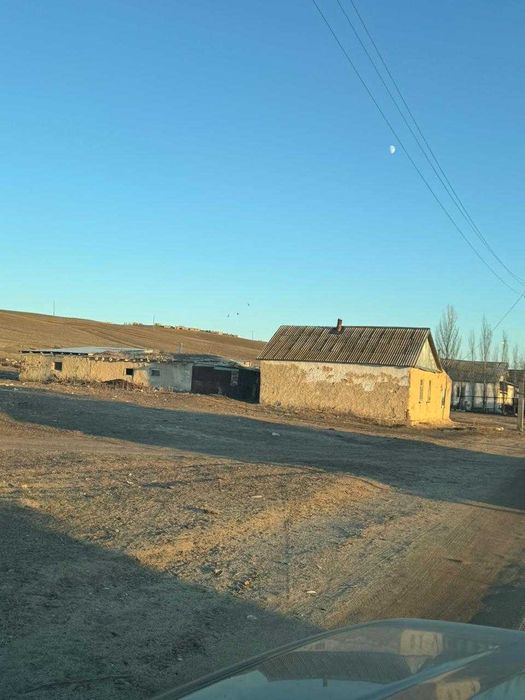 Продам крестьянское хозяйство