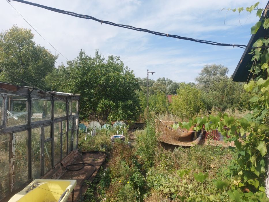 Продам дачу сад Клён срочно