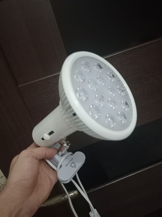 Лампа от желтухи