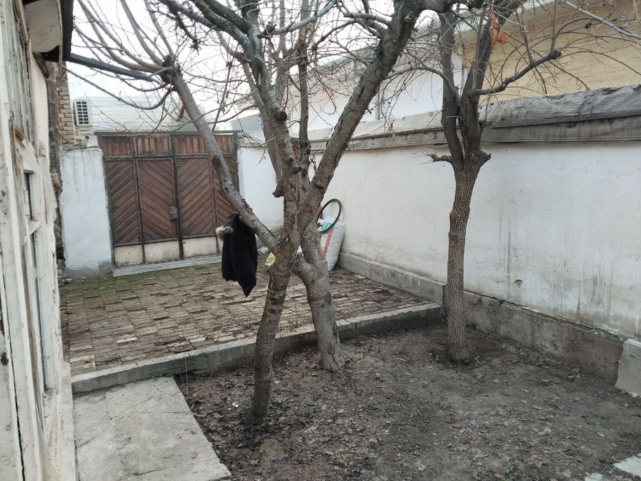 Turar joy uy ko'chmas