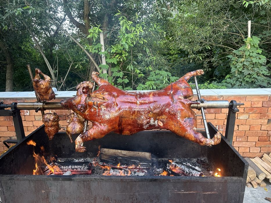 Porc, berbecut , vitel, pui, curcani toate pregatite la PROTAP!