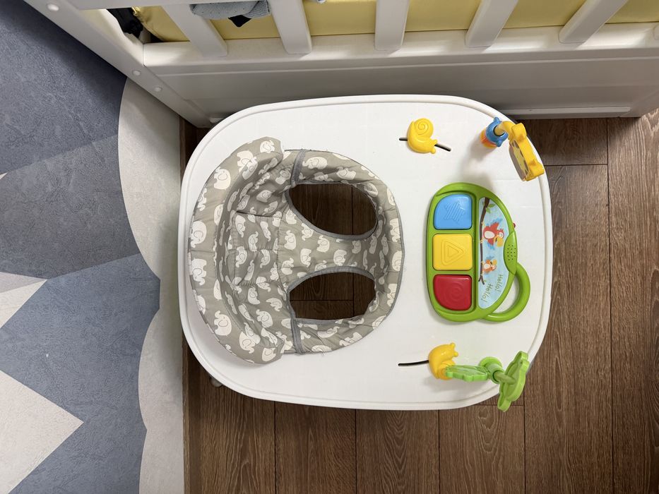 Паяк проходилка.