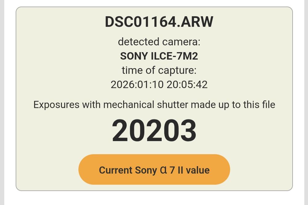 Sony A7II + Sony FE 28-70mm OSS