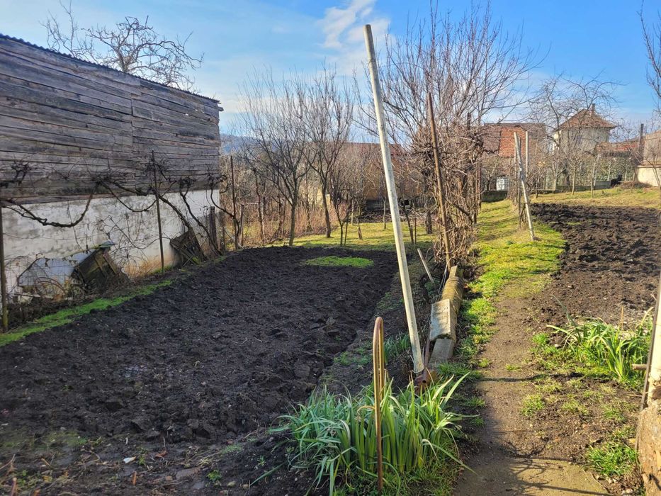 Vand casa zona dambul rotund