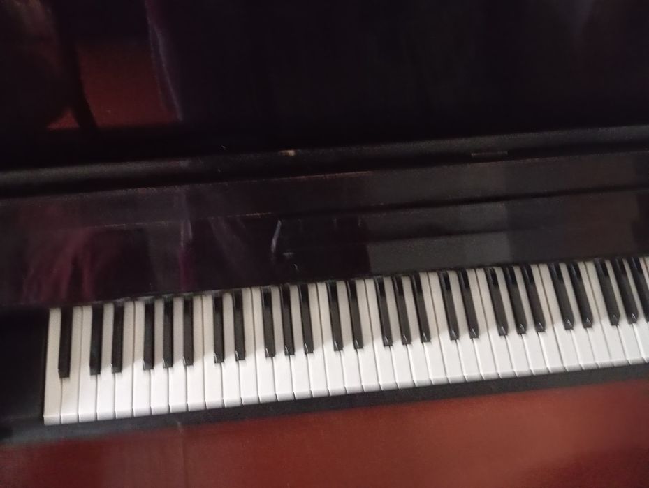 Фортепиано "Терек"