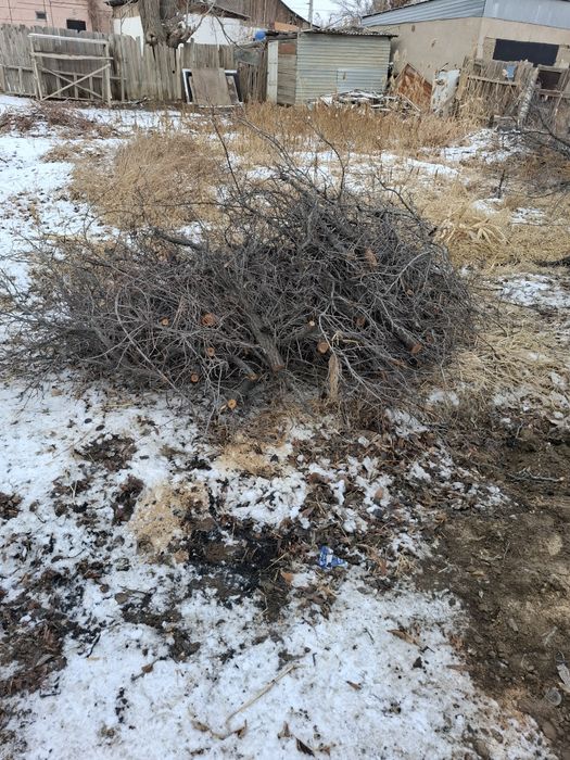 Отындыққа, шанхайда