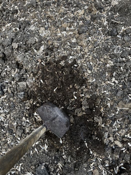 Продам перегной коровий