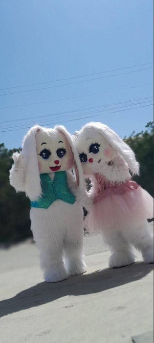 Ayiqlar sotiladi | Ayiq sotiladi