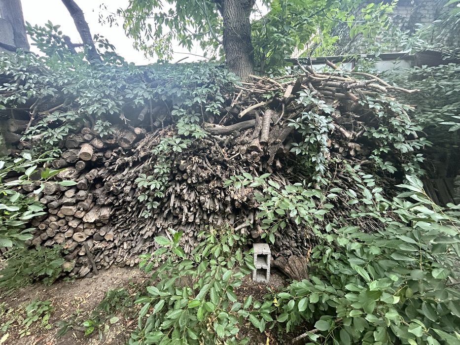 Дрова фруктовые