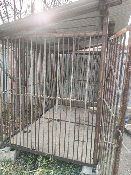 Вальтер для сабак