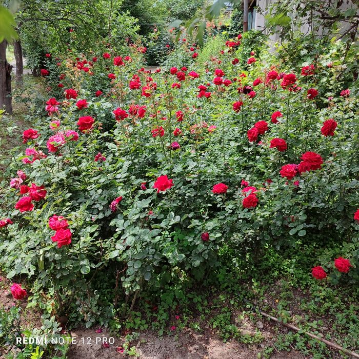 Продаётся дом. Университетский бульвар.