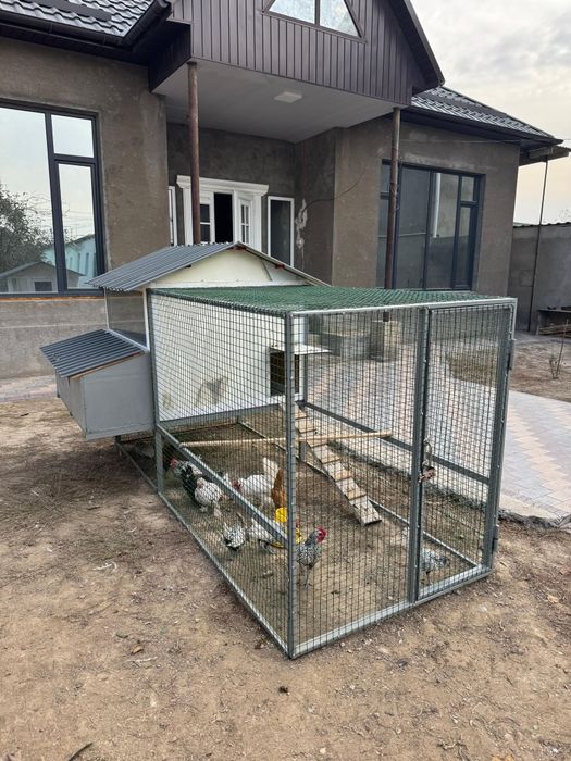 Клетка для кур переносной