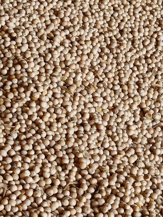 soia boabe 1.70 Soia boabe