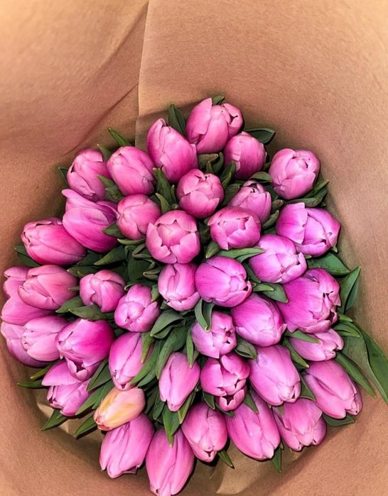 Тюльпаны оптом и в роз