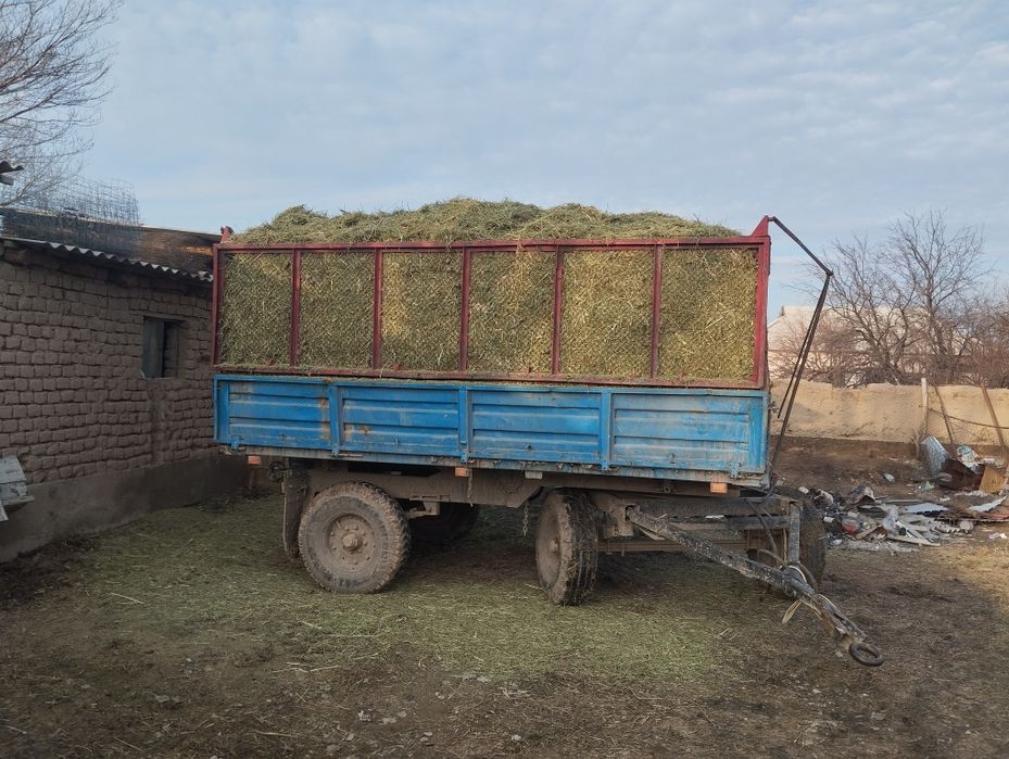 Жоңышқа бар майдаланган